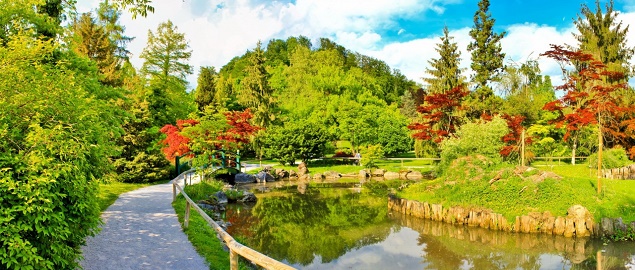 Visita l'Orto Botanico di Amsterdam - Prezzi e Orari